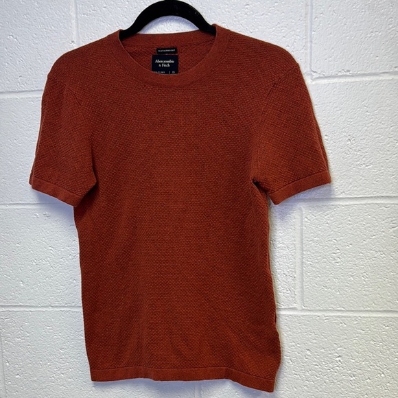 Abercrombie & Fitch Tops - Abercrombie & Fitch Rust Short Sleeve Tee